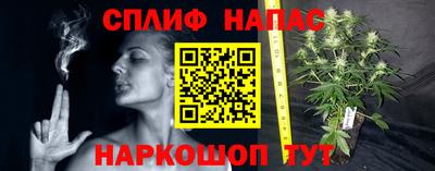PSILOCYBIN Янаул