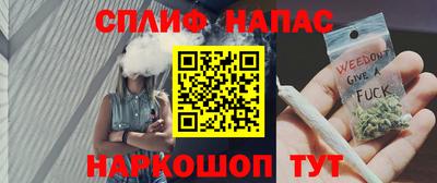 прущие грибы Ярославль