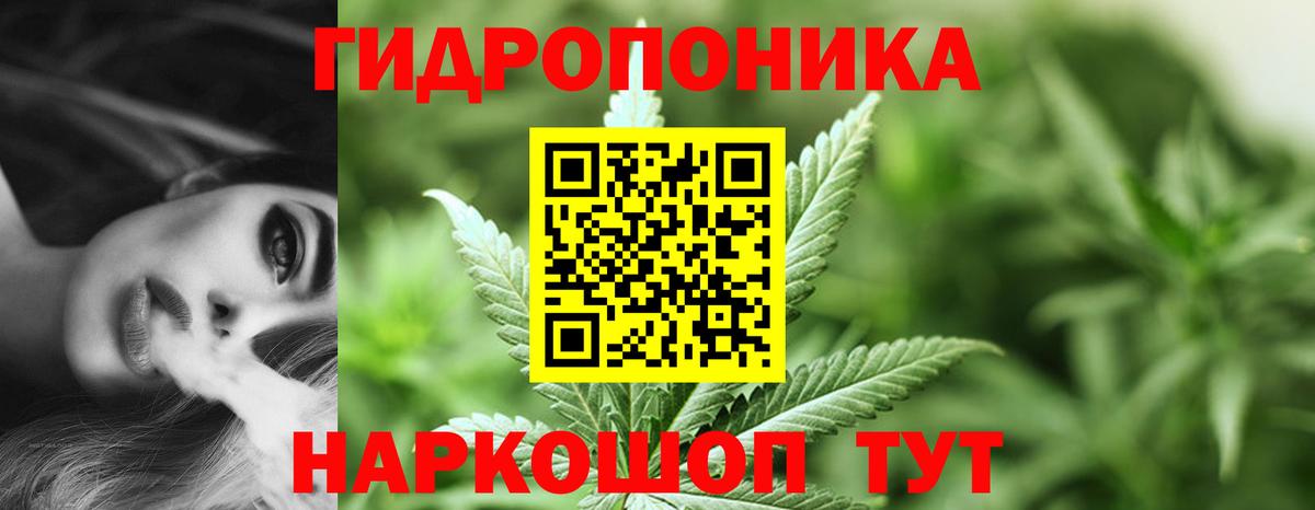Бошки Шишки марихуана Саров